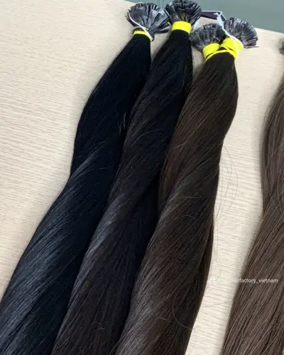 Post by Ady Hair Factory Viet Nam