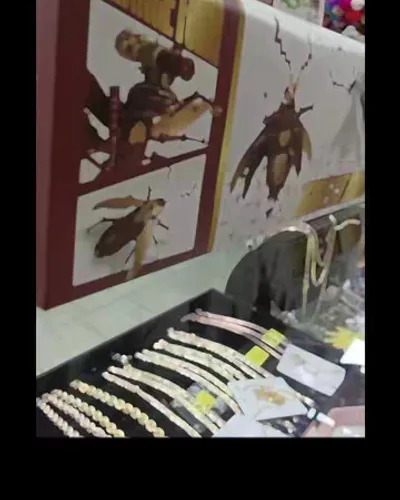 Post by China Toy Trading
