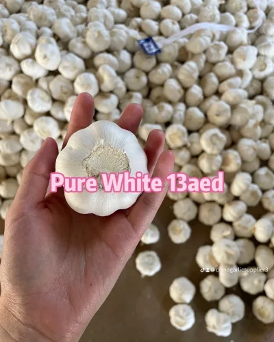 Post by China Product Supplier