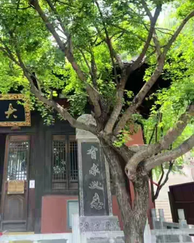 Post by China Manufacturer