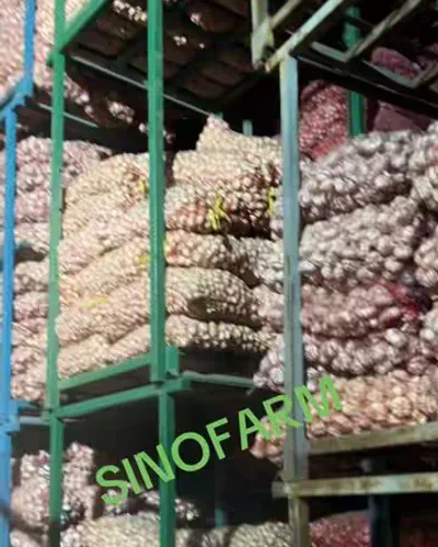 Post by China Garlic Manufacturer