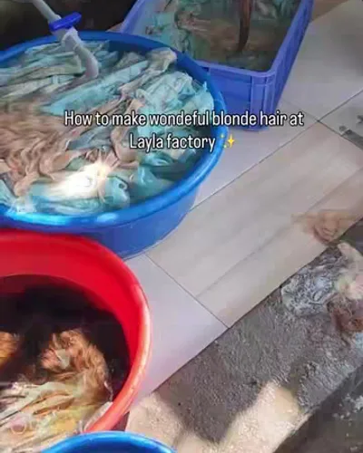 Post by Layla Hair Vietnam