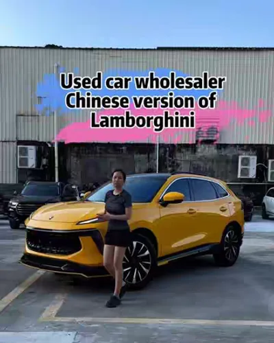 Post by Nina China vehicle export